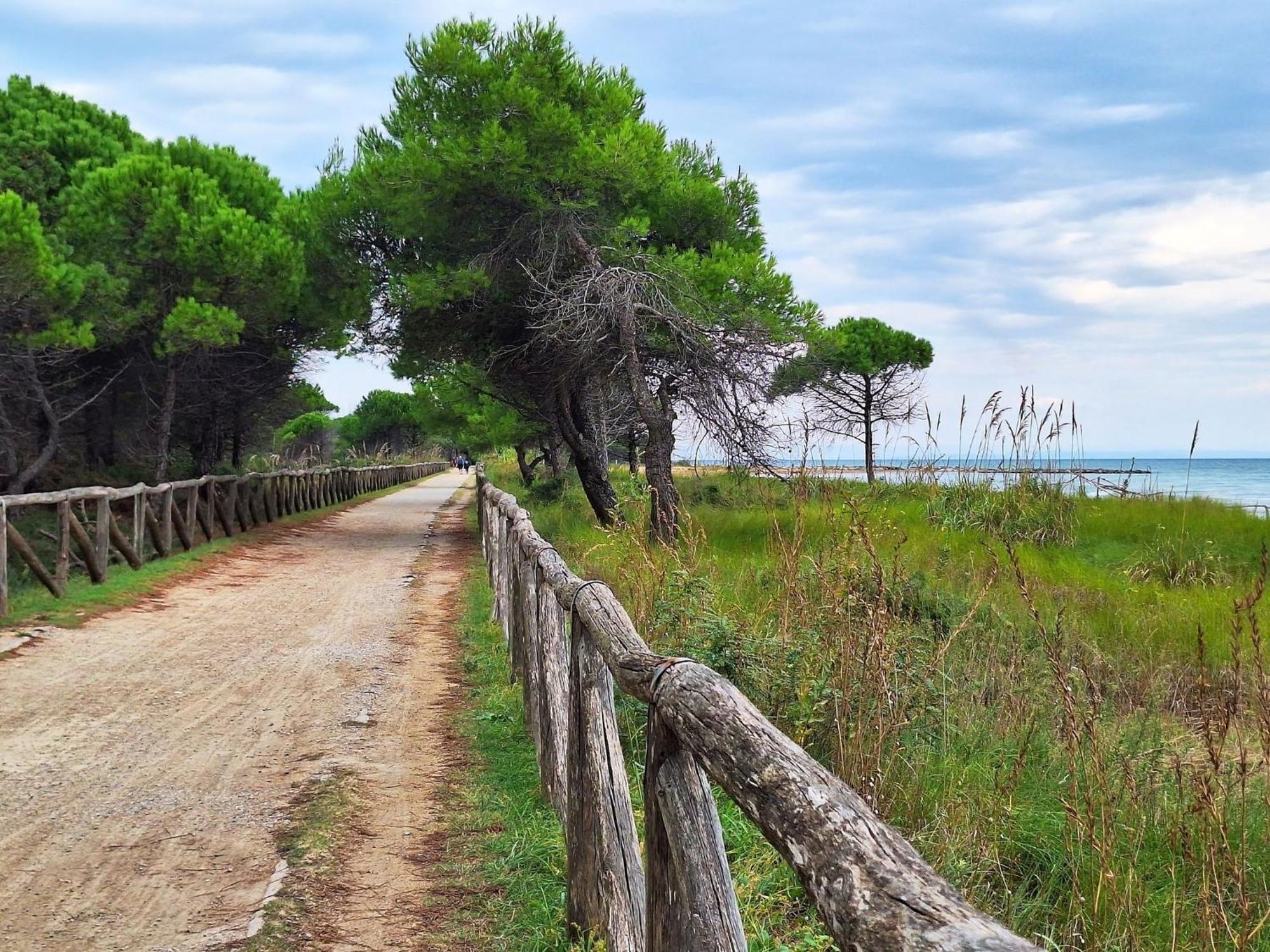 Charming With Garden View * Bibione